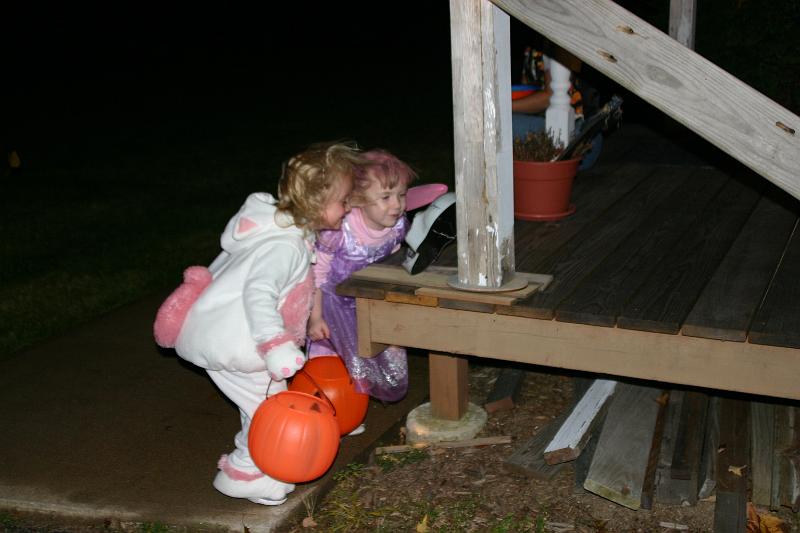 Picture 364.jpg